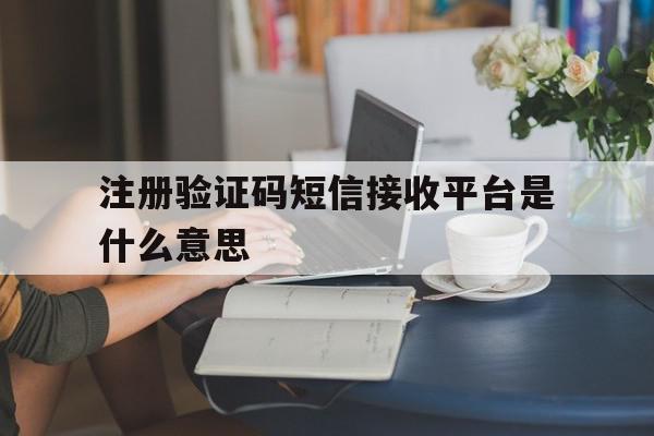 注册验证码短信接收平台是什么意思
