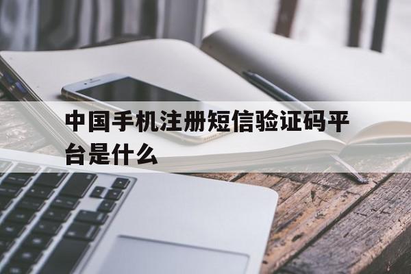 中国手机注册短信验证码平台是什么