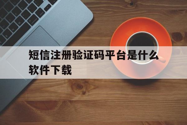 短信注册验证码平台是什么软件下载