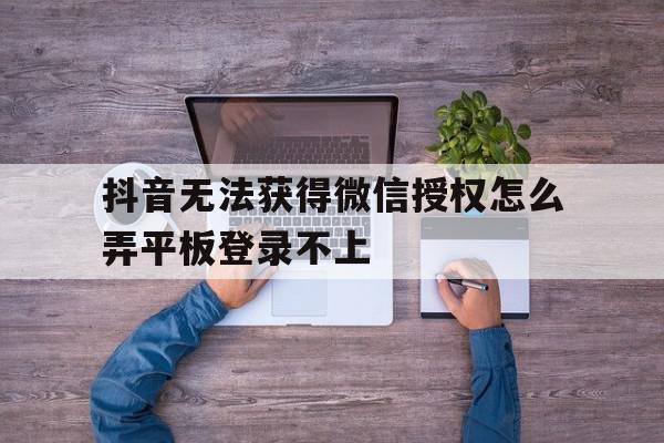 抖音无法获得微信授权怎么弄平板登录不上