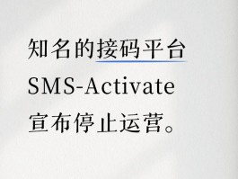 接码付费平台是什么