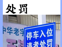 临时号牌违章了怎么办啊怎么处理罚款