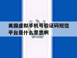 美国虚拟手机号验证码短信平台是什么意思啊
