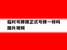 临时号牌跟正式号牌一样吗图片视频