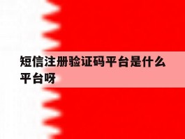 短信注册验证码平台是什么平台呀