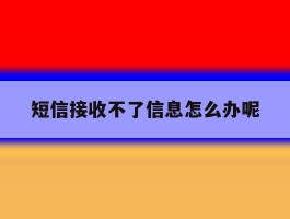 短信接收不了信息怎么办呢
