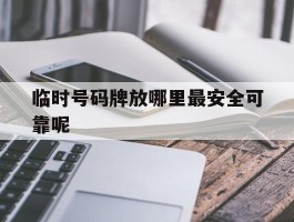 临时号码牌放哪里最安全可靠呢