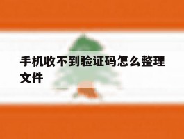 手机收不到验证码怎么整理文件