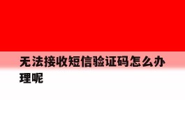 无法接收短信验证码怎么办理呢
