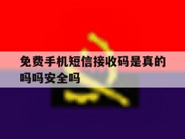 免费手机短信接收码是真的吗吗安全吗的简单介绍