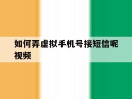 如何弄虚拟手机号接短信呢视频