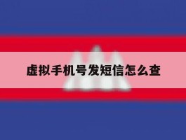 虚拟手机号发短信怎么查