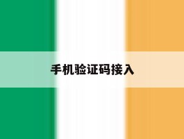 手机验证码接入