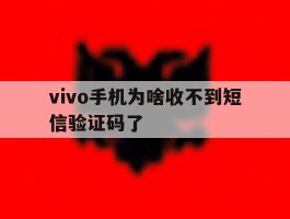 vivo手机为啥收不到短信验证码了