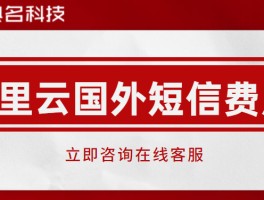 关于国外接收短信怎么收费的呀的信息