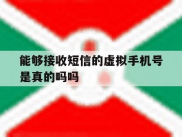 包含能够接收短信的虚拟手机号是真的吗吗的词条