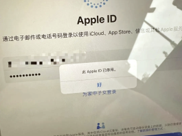 账号验证码登录安全吗苹果版手机