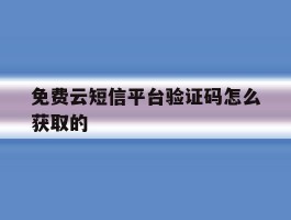 免费云短信平台验证码怎么获取的