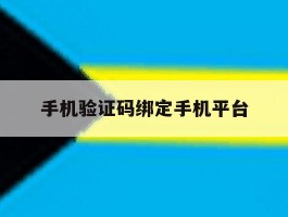手机验证码绑定手机平台