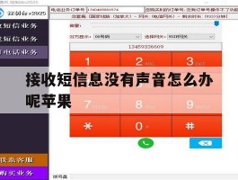 接收短信息没有声音怎么办呢苹果