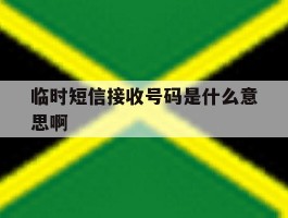 临时短信接收号码是什么意思啊