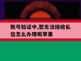 账号验证中,暂无法接收私信怎么办理呢苹果