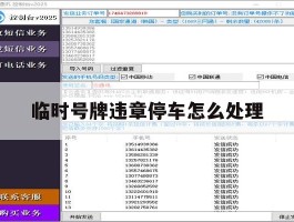 临时号牌违章停车怎么处理