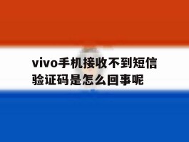 vivo手机接收不到短信验证码是怎么回事呢