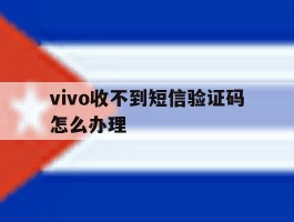 vivo收不到短信验证码怎么办理