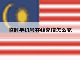 临时手机号在线充值怎么充