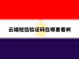 云端短信验证码在哪里看啊
