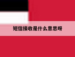 短信接收是什么意思呀