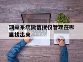 鸿蒙系统微信授权管理在哪里找出来