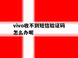 vivo收不到短信验证码怎么办呢