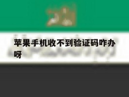 苹果手机收不到验证码咋办呀