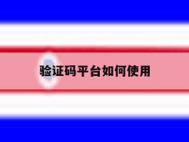 验证码平台如何使用