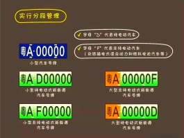 临时号牌与正式号牌的相关规定有哪些标准