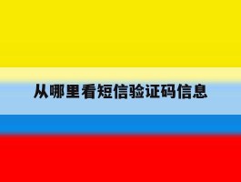 从哪里看短信验证码信息