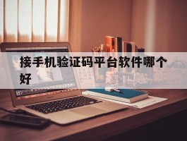 接手机验证码平台软件哪个好