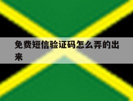 免费短信验证码怎么弄的出来