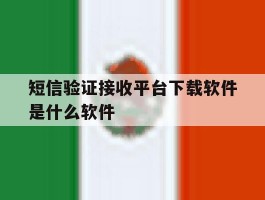 短信验证接收平台下载软件是什么软件