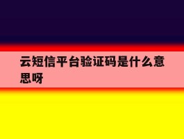 云短信平台验证码是什么意思呀