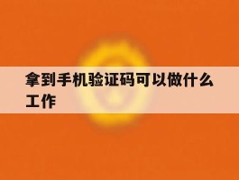 拿到手机验证码可以做什么工作