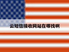 云短信接收网站在哪找啊