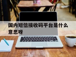国内短信接收码平台是什么意思呀