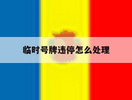 临时号牌违停怎么处理