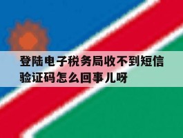 登陆电子税务局收不到短信验证码怎么回事儿呀的简单介绍