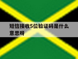 短信接收5位验证码是什么意思呀