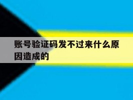 账号验证码发不过来什么原因造成的