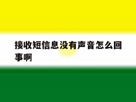 接收短信息没有声音怎么回事啊